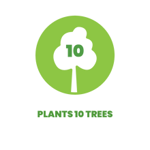 Load image into Gallery viewer, Amber Black 10 Trees