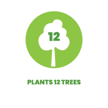 Load image into Gallery viewer, Bali Rainforest 12 Trees