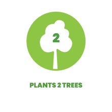 Load image into Gallery viewer, Amber Indonesia 2 Trees