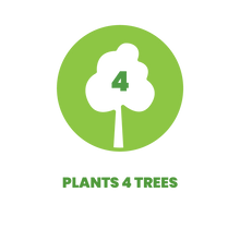 Load image into Gallery viewer, Bali Seeds 4 Trees