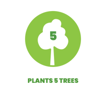 Load image into Gallery viewer, Amber Life 5 Trees