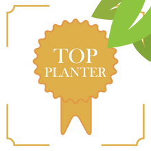 Load image into Gallery viewer, Micro Forest 200 Trees Certificate