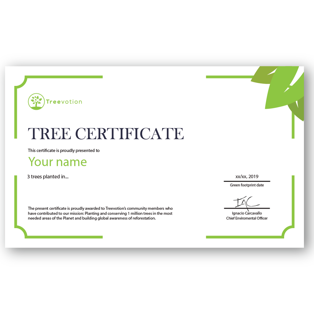 3 Trees Planting Certificate